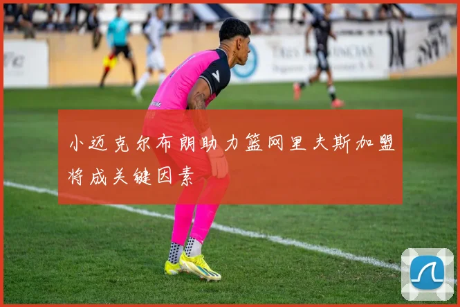 小迈克尔布朗助力篮网里夫斯加盟将成关键因素